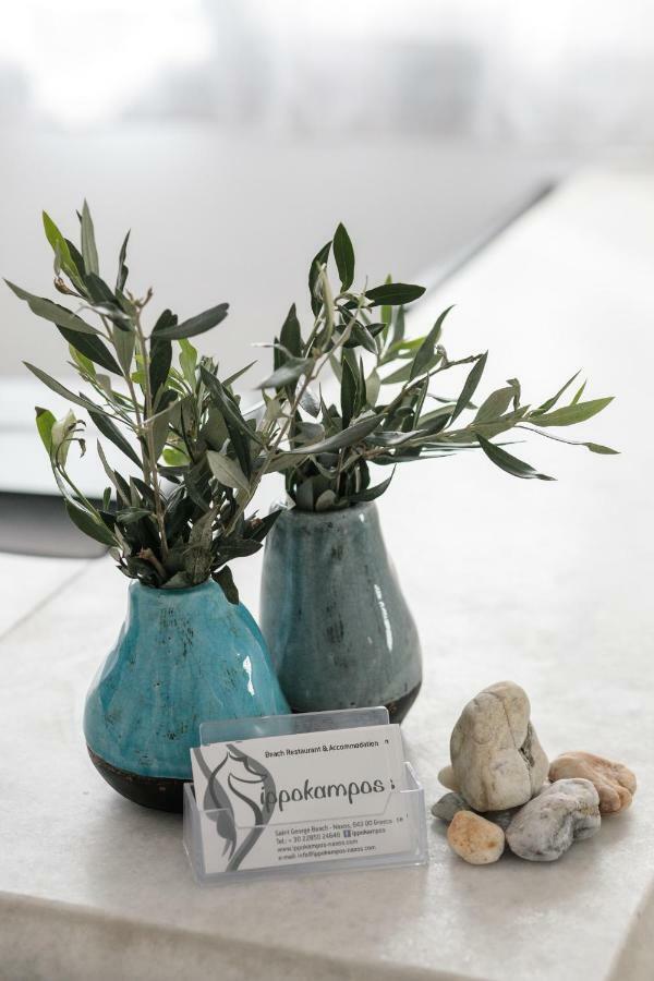 Ippokampos Town Apartments Naxos City 외부 사진